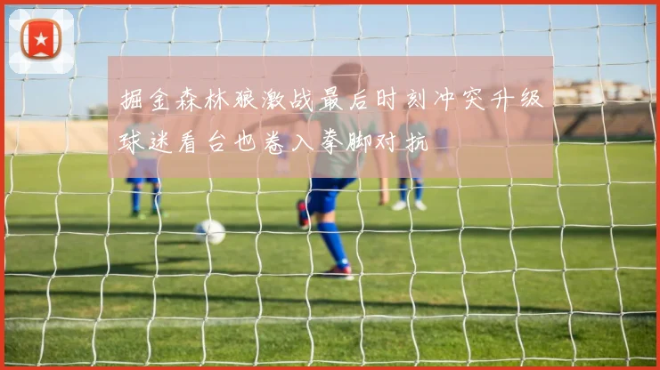 掘金森林狼激战最后时刻冲突升级球迷看台也卷入拳脚对抗