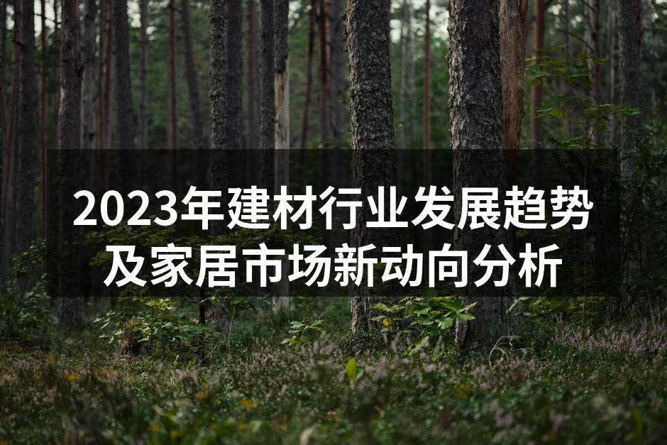 2023年建材行业发展趋势及家居市场新动向分析